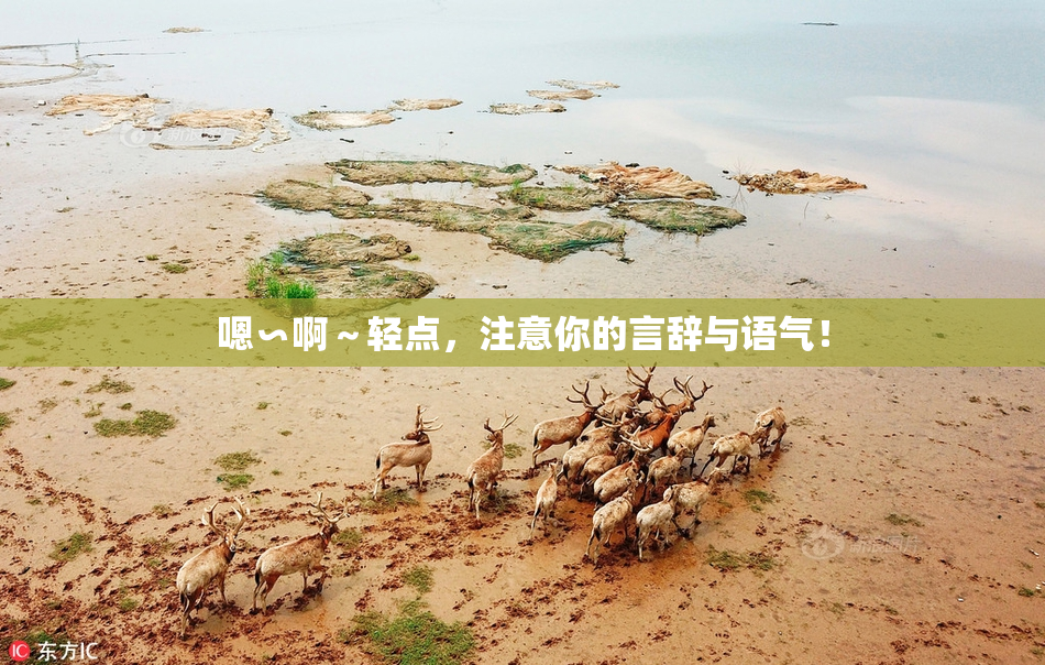 嗯∽啊～轻点，注意你的言辞与语气！