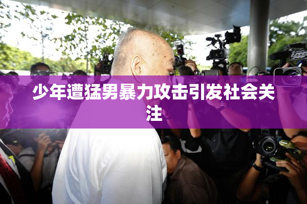 少年遭猛男暴力攻击引发社会关注