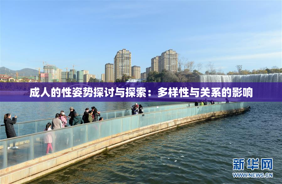 成人的性姿势探讨与探索：多样性与关系的影响