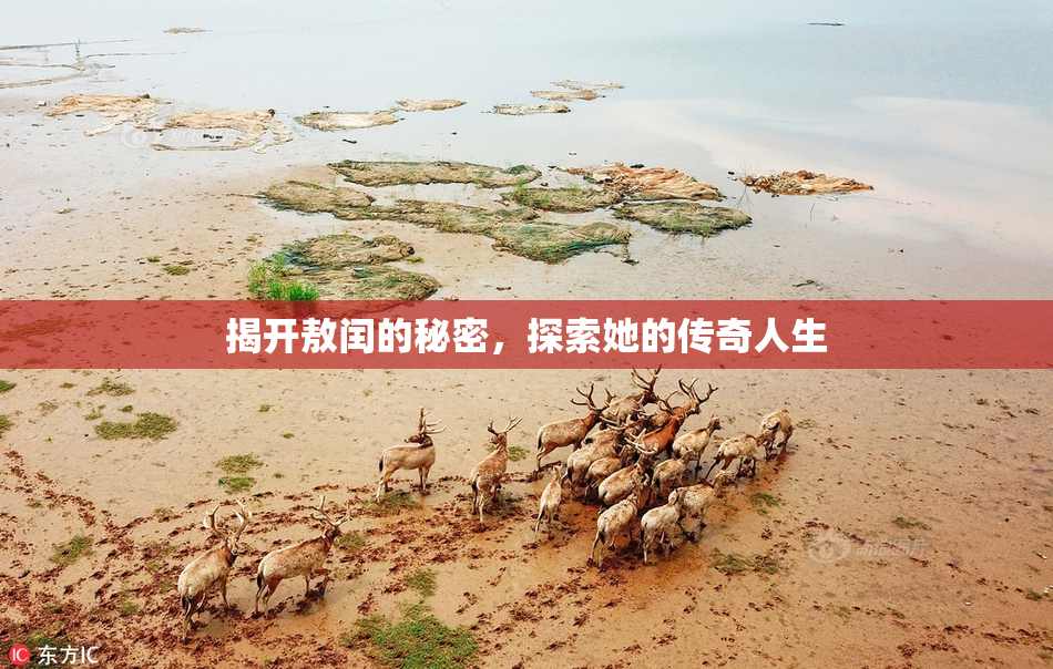 揭开敖闰的秘密，探索她的传奇人生