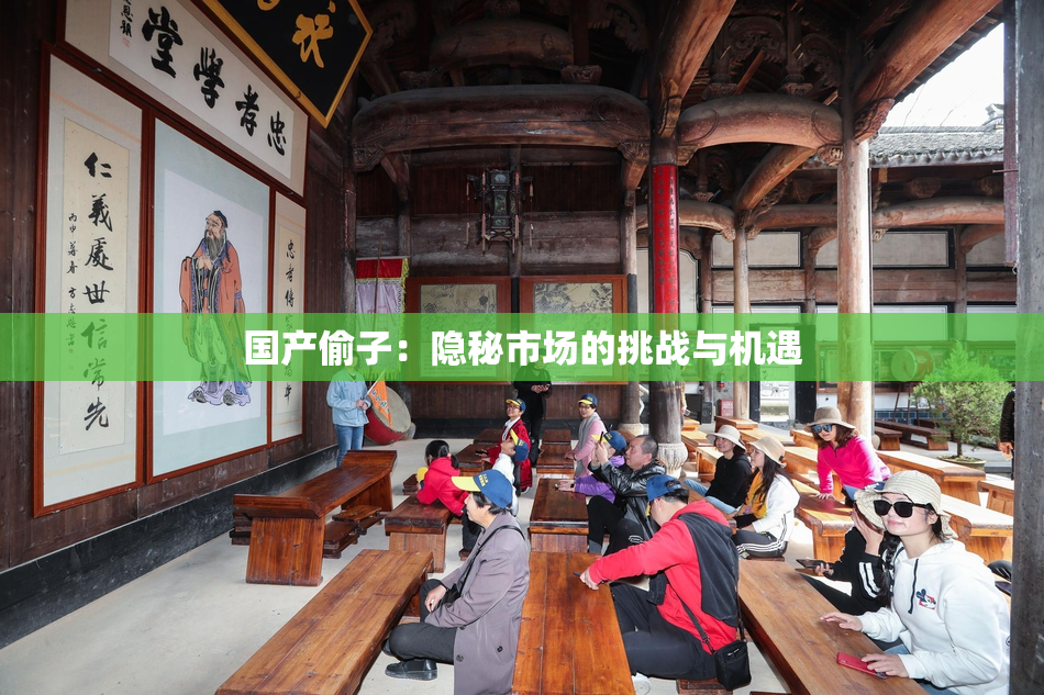国产偷子：隐秘市场的挑战与机遇