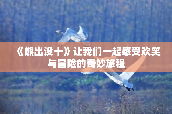 《熊出没十》让我们一起感受欢笑与冒险的奇妙旅程