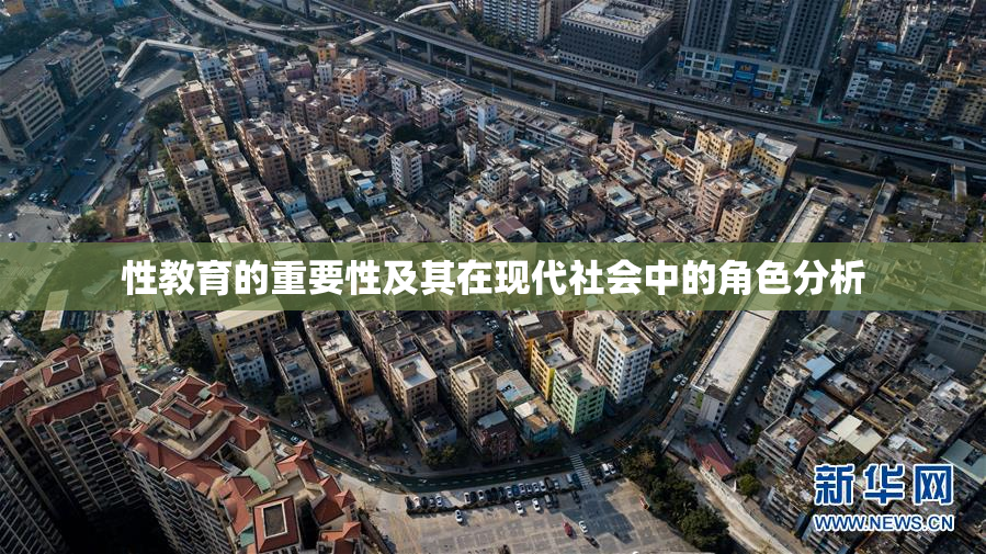 性教育的重要性及其在现代社会中的角色分析
