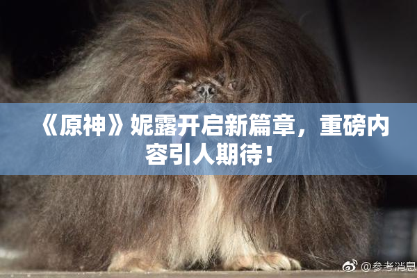 《原神》妮露开启新篇章，重磅内容引人期待！