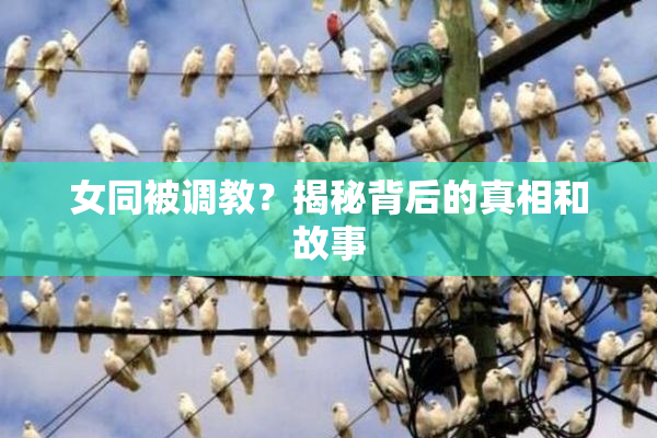 女同被调教？揭秘背后的真相和故事