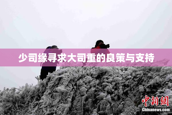 少司缘寻求大司重的良策与支持