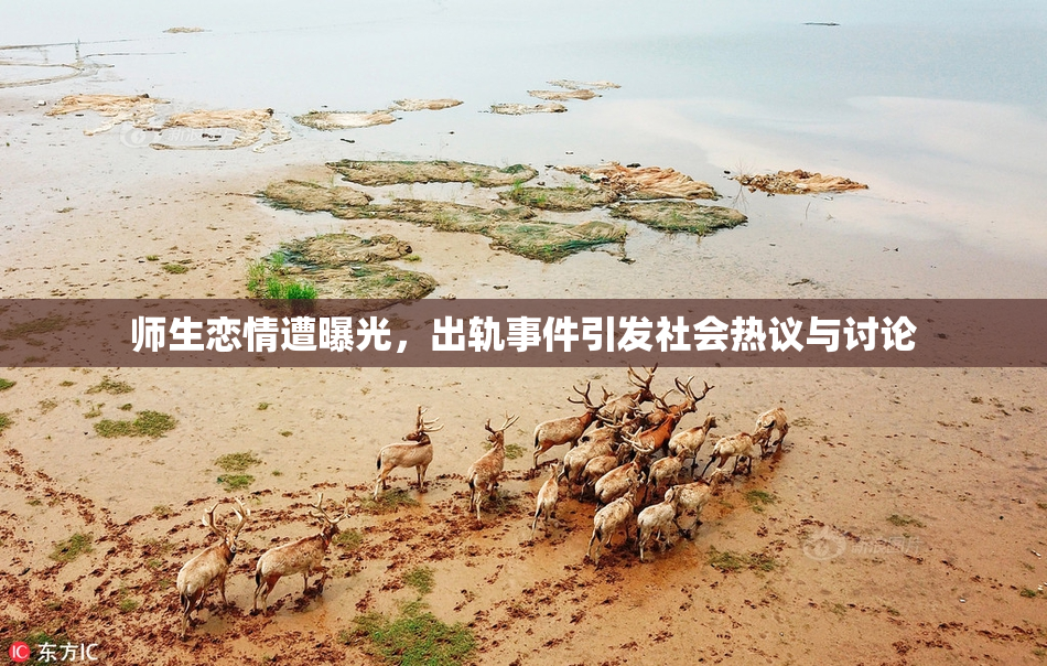 师生恋情遭曝光，出轨事件引发社会热议与讨论