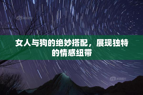 女人与狗的绝妙搭配，展现独特的情感纽带