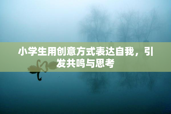 小学生用创意方式表达自我，引发共鸣与思考