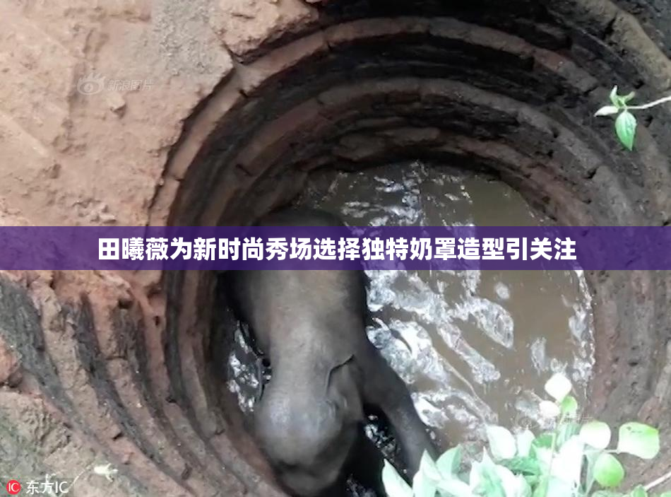田曦薇为新时尚秀场选择独特奶罩造型引关注