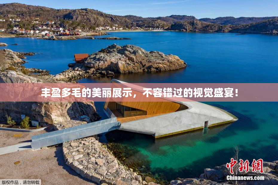 丰盈多毛的美丽展示，不容错过的视觉盛宴！