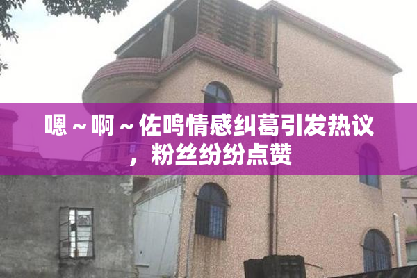 嗯～啊～佐鸣情感纠葛引发热议，粉丝纷纷点赞