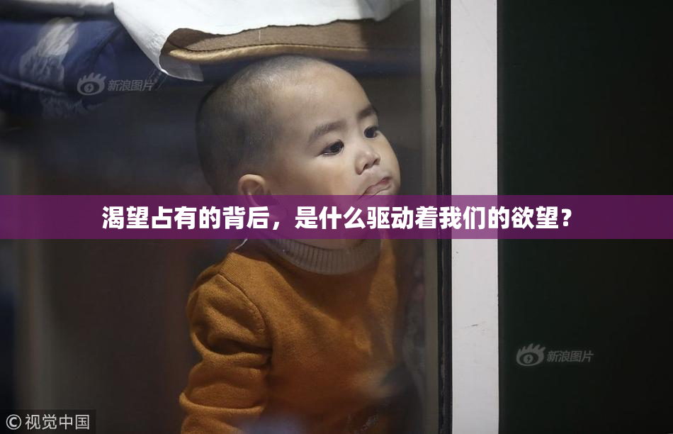 渴望占有的背后，是什么驱动着我们的欲望？
