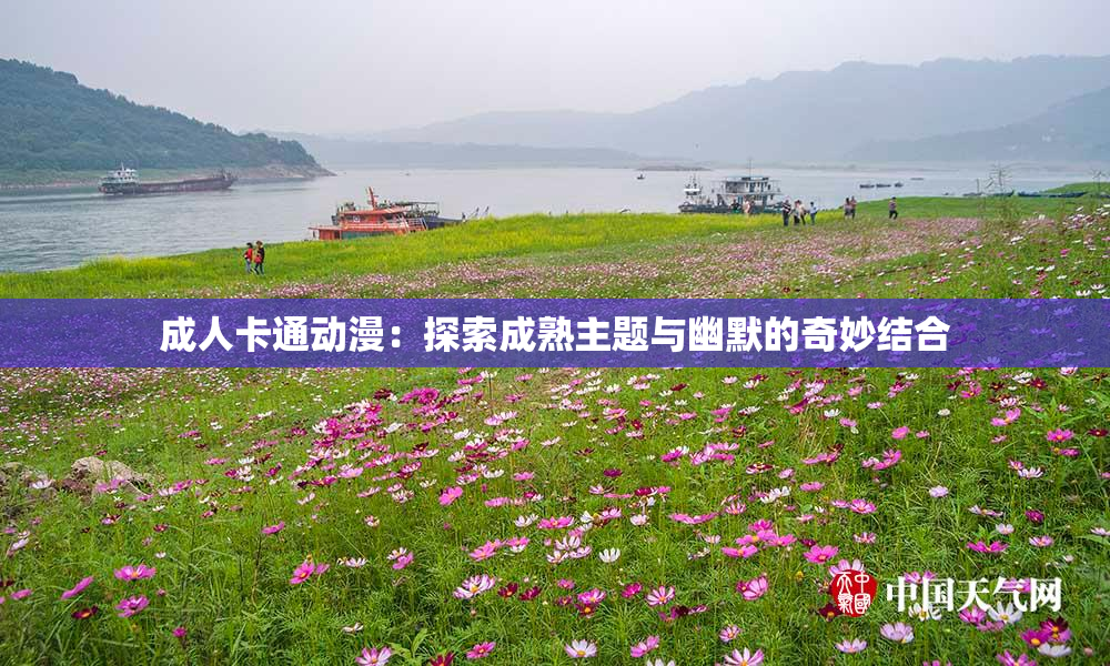 成人卡通动漫：探索成熟主题与幽默的奇妙结合
