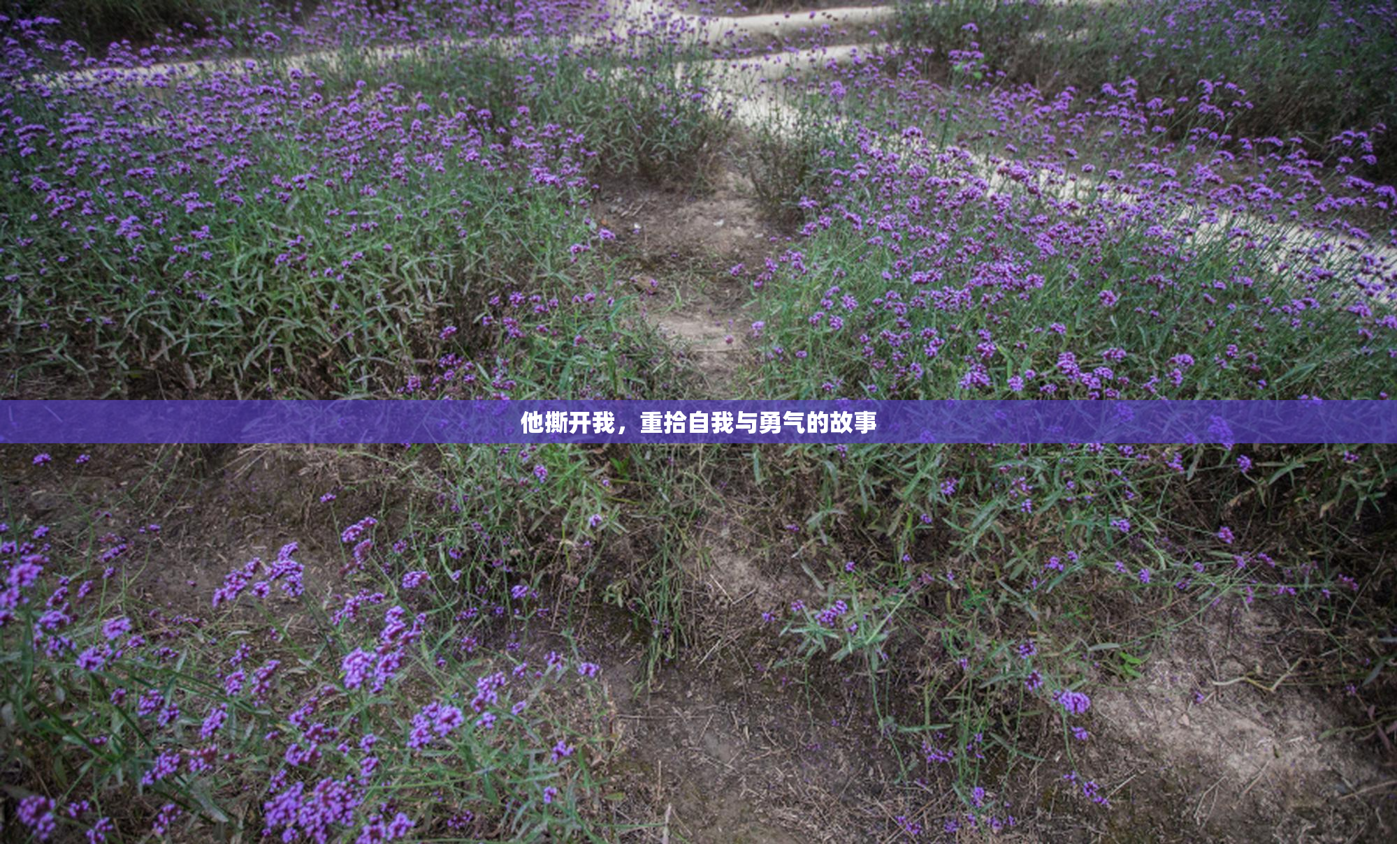 他撕开我，重拾自我与勇气的故事