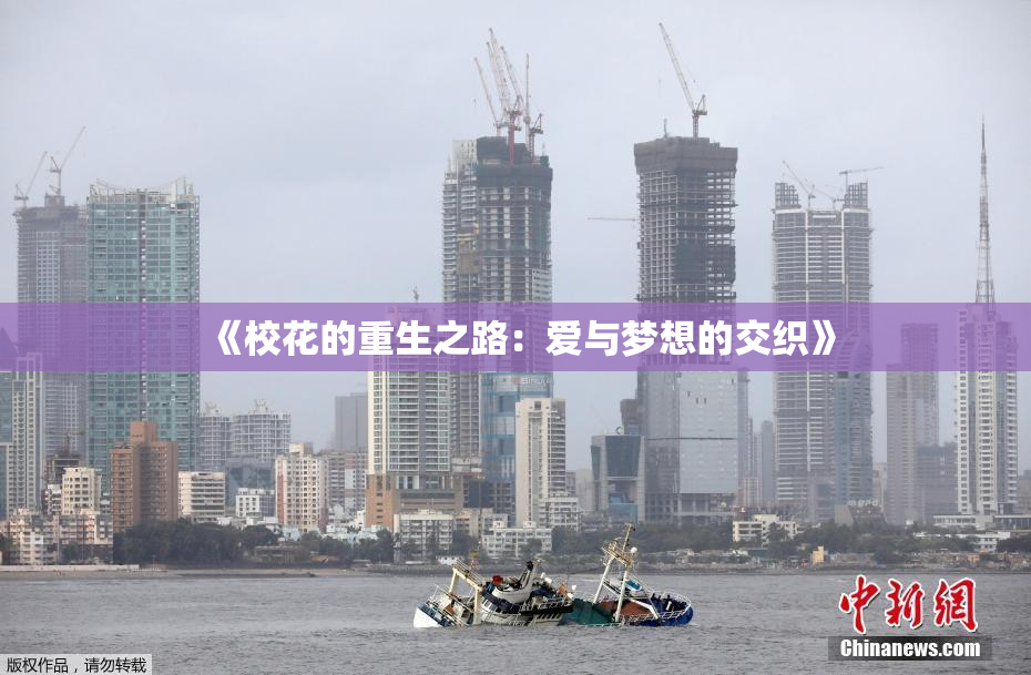 《校花的重生之路：爱与梦想的交织》