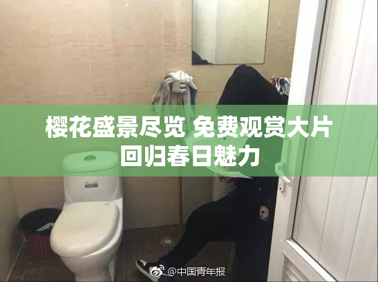 樱花盛景尽览 免费观赏大片回归春日魅力