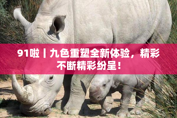 91啦丨九色重塑全新体验，精彩不断精彩纷呈！