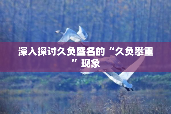 深入探讨久负盛名的“久负攀重”现象