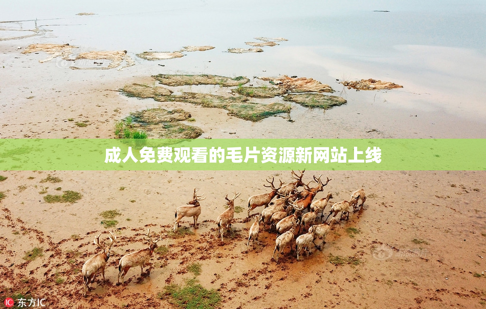 成人免费观看的毛片资源新网站上线
