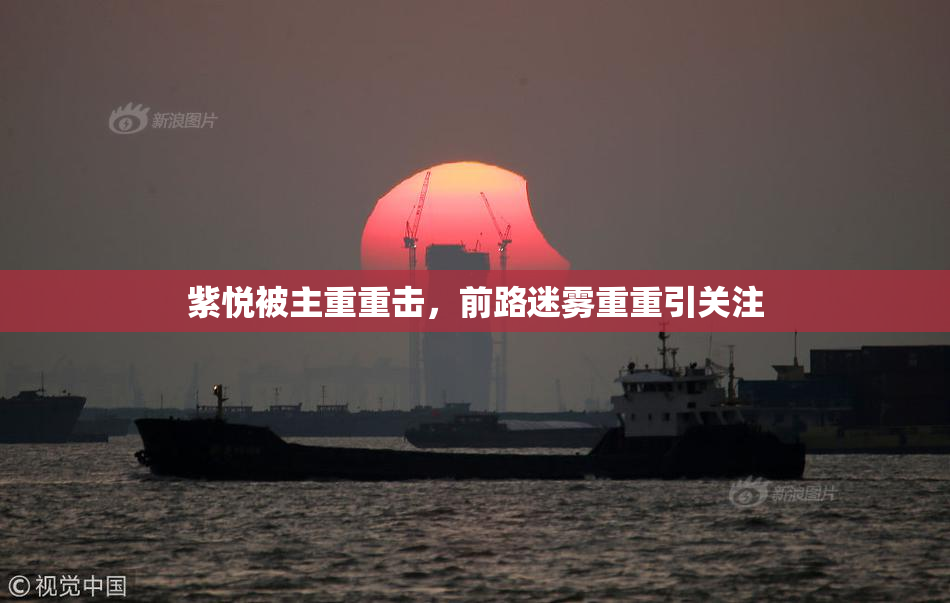紫悦被主重重击，前路迷雾重重引关注