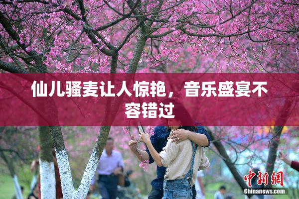 仙儿骚麦让人惊艳，音乐盛宴不容错过
