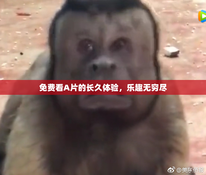 免费看A片的长久体验，乐趣无穷尽
