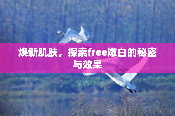 焕新肌肤，探索free嫩白的秘密与效果