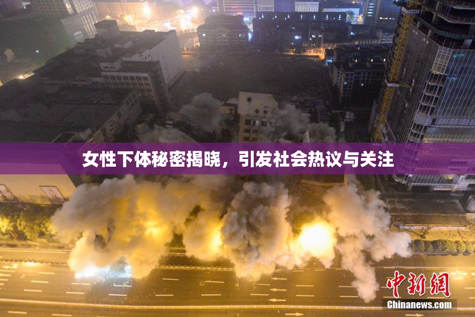 女性下体秘密揭晓，引发社会热议与关注