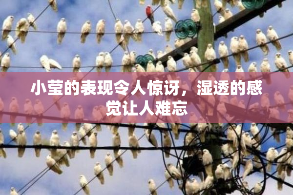 小莹的表现令人惊讶，湿透的感觉让人难忘