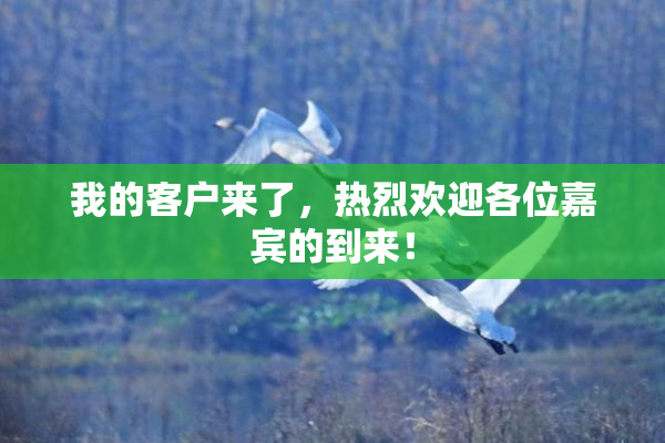 我的客户来了，热烈欢迎各位嘉宾的到来！