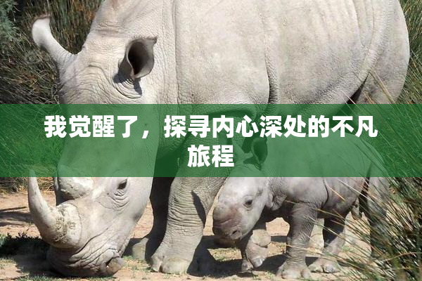 我觉醒了，探寻内心深处的不凡旅程
