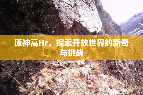 原神高Hr，探索开放世界的新奇与挑战