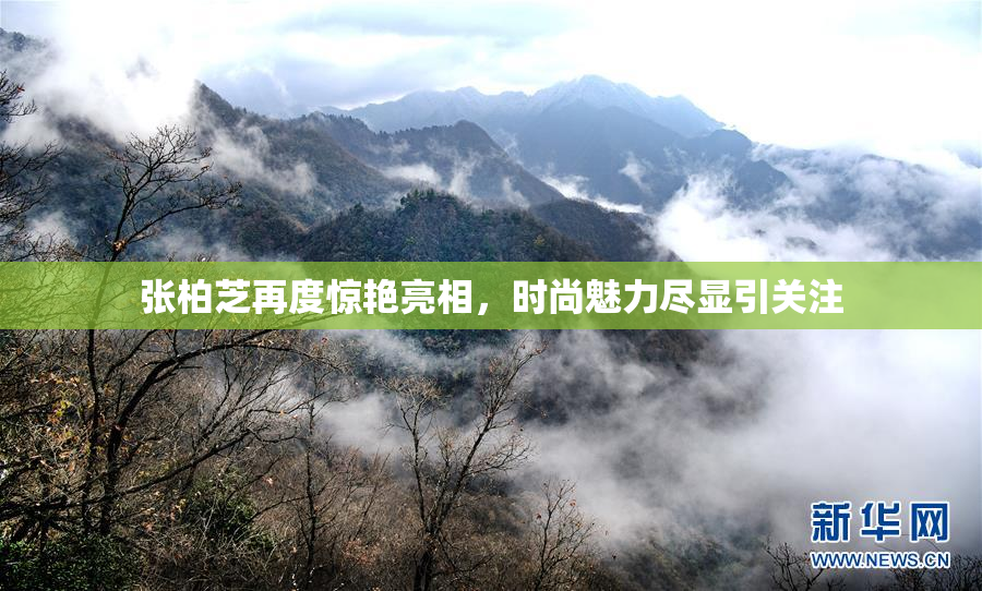 张柏芝再度惊艳亮相，时尚魅力尽显引关注