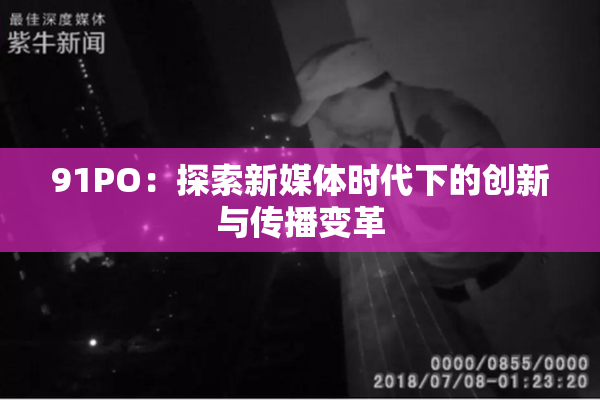 91PO：探索新媒体时代下的创新与传播变革