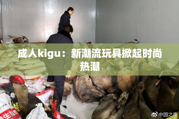 成人kigu：新潮流玩具掀起时尚热潮