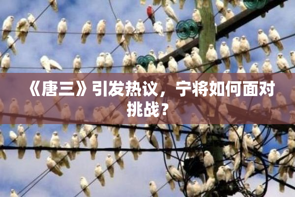 《唐三》引发热议，宁将如何面对挑战？