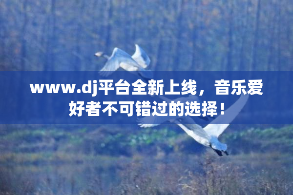 www.dj平台全新上线，音乐爱好者不可错过的选择！