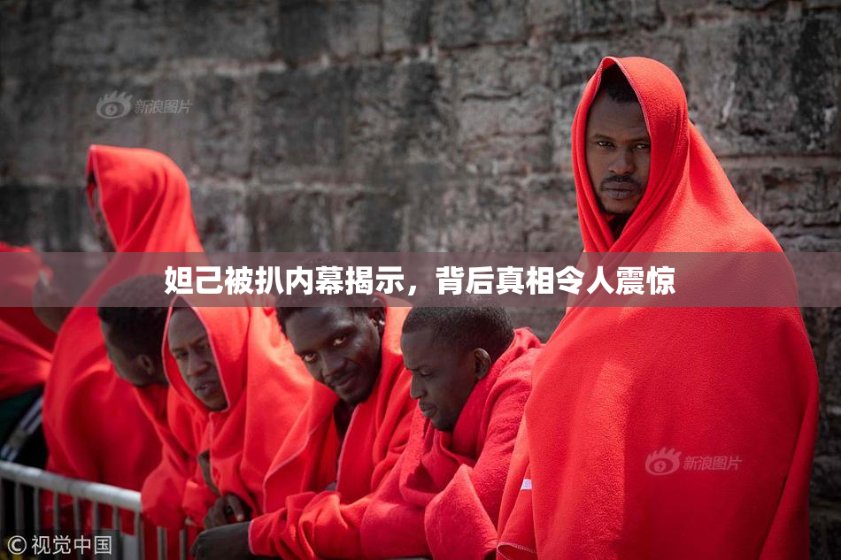 妲己被扒内幕揭示，背后真相令人震惊