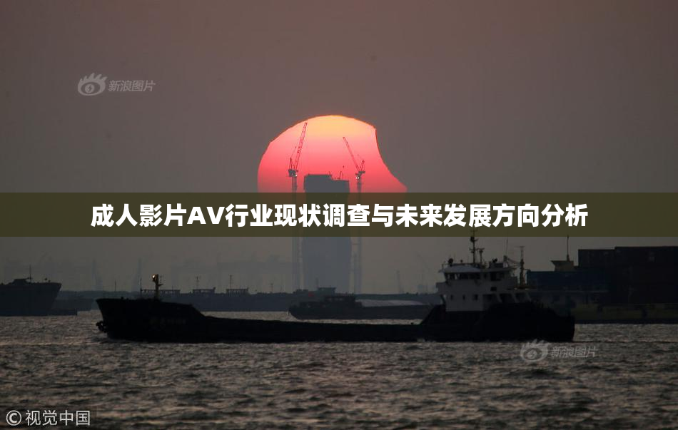 成人影片AV行业现状调查与未来发展方向分析