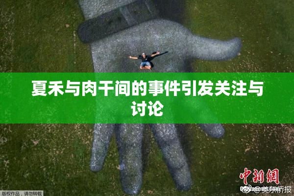 夏禾与肉干间的事件引发关注与讨论