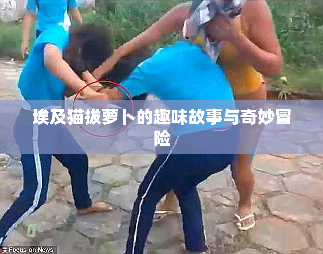 埃及猫拔萝卜的趣味故事与奇妙冒险