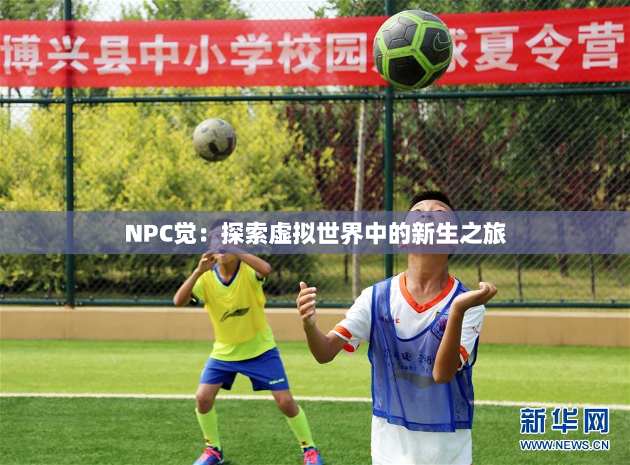 NPC觉：探索虚拟世界中的新生之旅