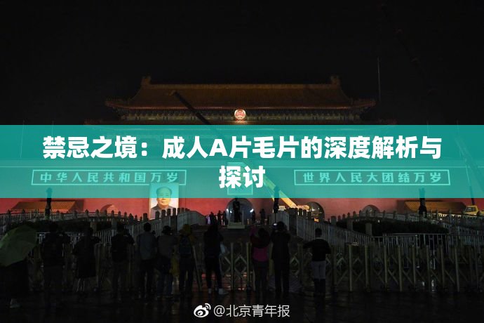 禁忌之境：成人A片毛片的深度解析与探讨