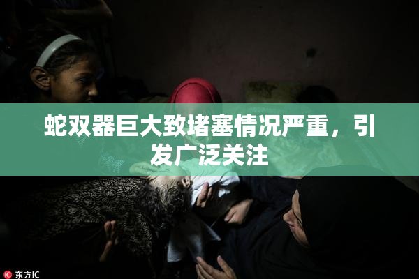 蛇双器巨大致堵塞情况严重，引发广泛关注