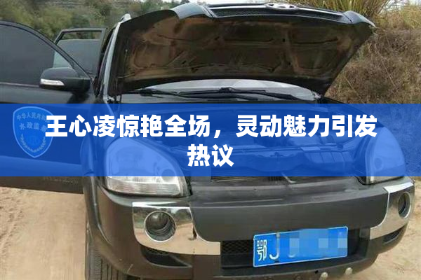 王心凌惊艳全场，灵动魅力引发热议