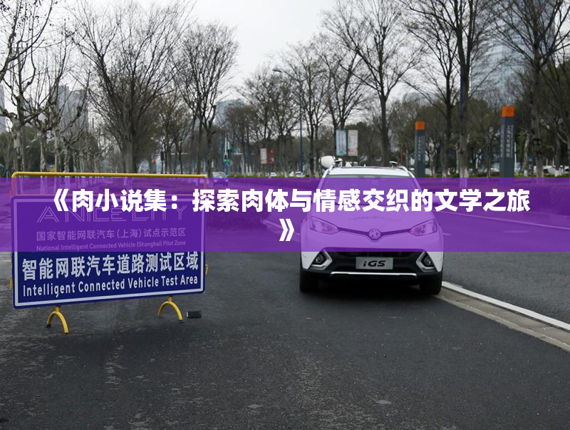 《肉小说集：探索肉体与情感交织的文学之旅》