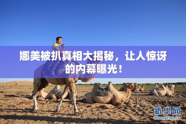 娜美被扒真相大揭秘，让人惊讶的内幕曝光！