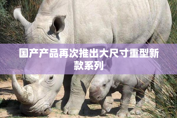 国产产品再次推出大尺寸重型新款系列