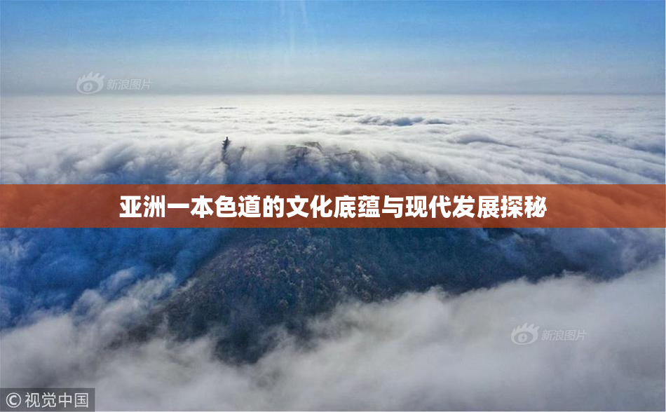 亚洲一本色道的文化底蕴与现代发展探秘